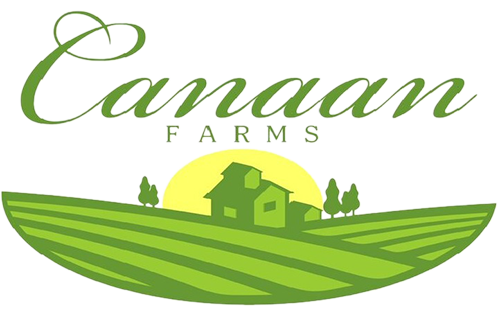 Canaan Farms Memorial